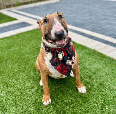 Topsy Repurposed - Oh My Goth Dog Bandana