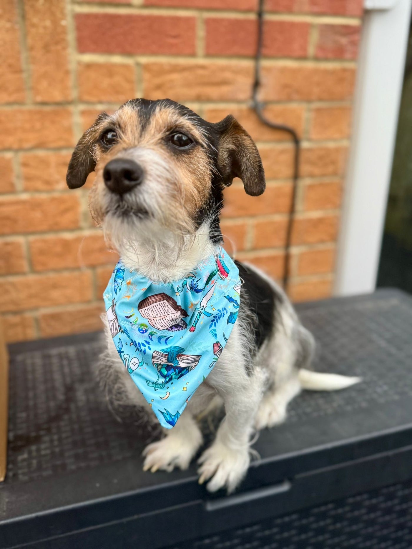 Topsy Repurposed - Light Blue Fantasy Court Dog Bandana