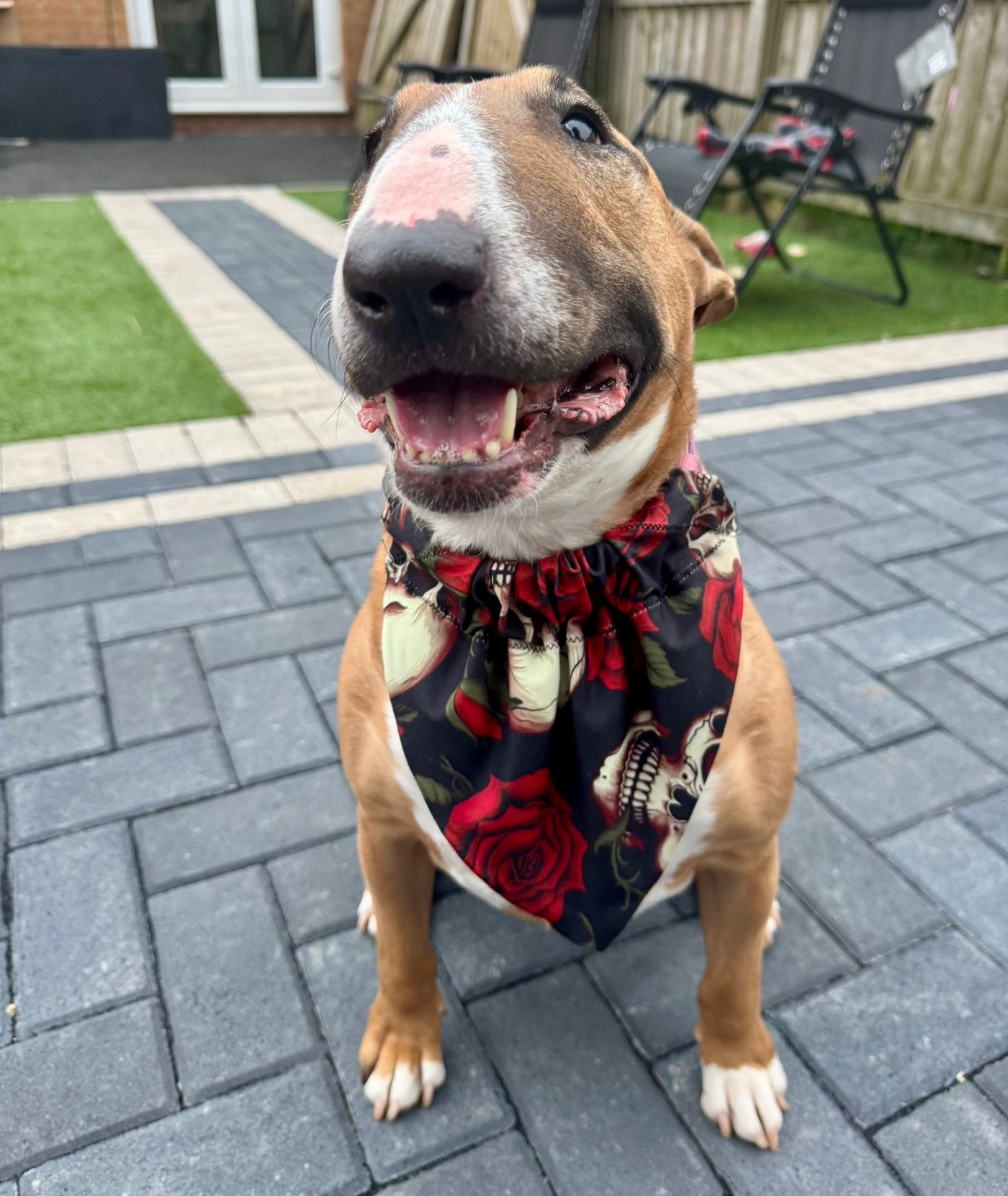 Topsy Repurposed - Oh My Goth Dog Bandana