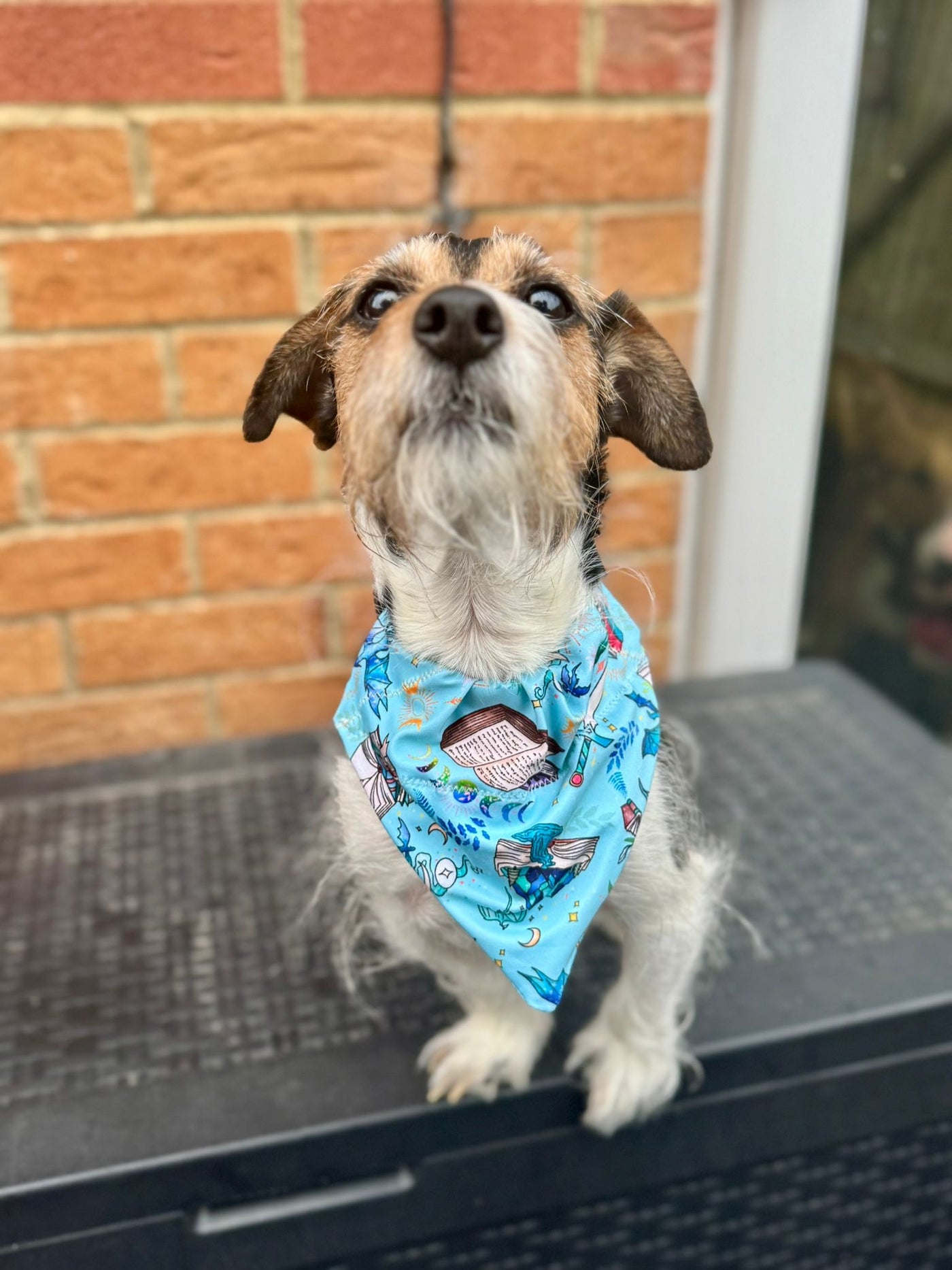 Topsy Repurposed - Light Blue Fantasy Court Dog Bandana