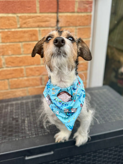 Topsy Repurposed - Light Blue Fantasy Court Dog Bandana