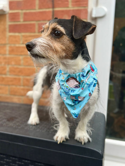 Topsy Repurposed - Light Blue Fantasy Court Dog Bandana