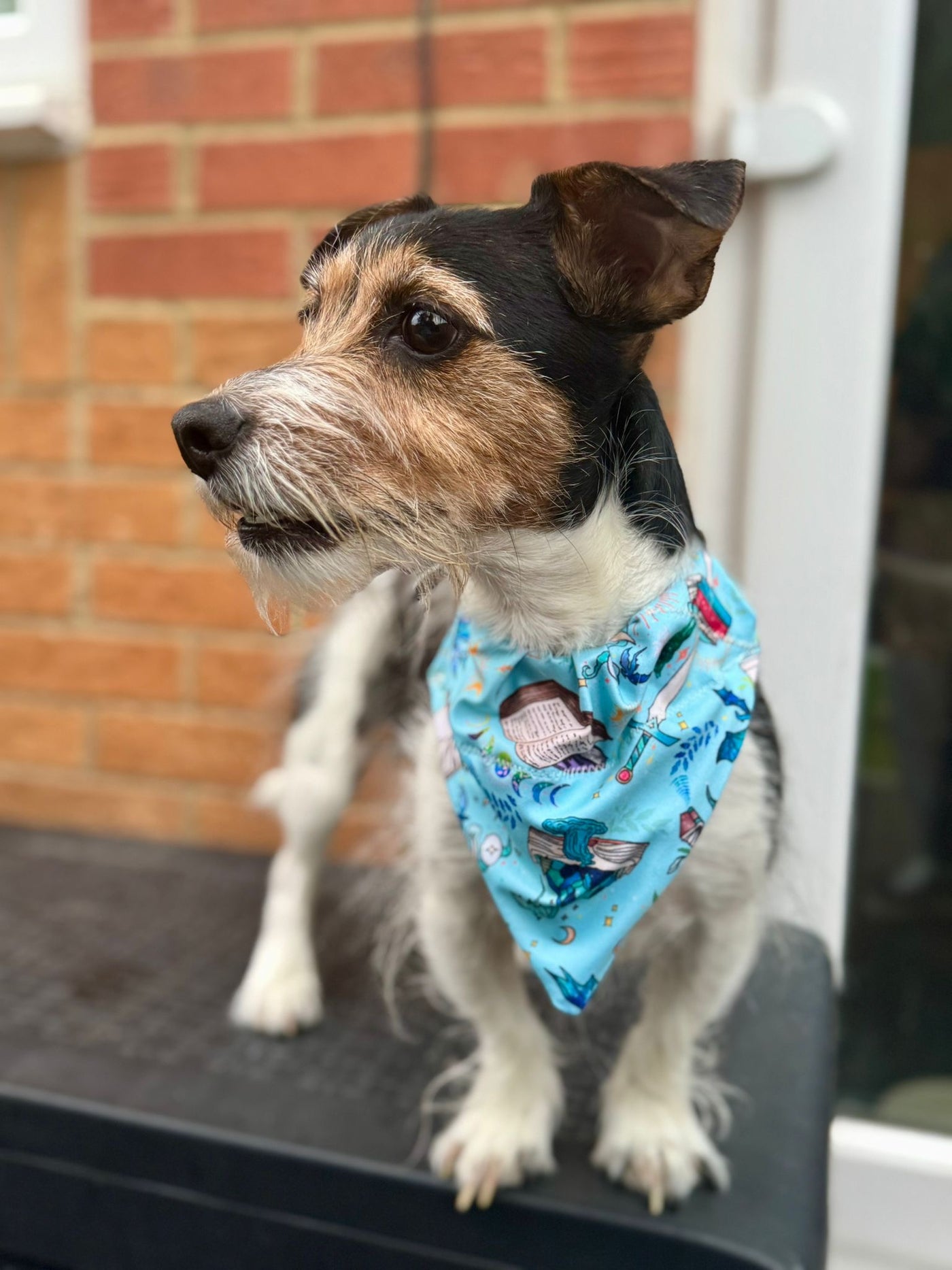 Topsy Repurposed - Light Blue Fantasy Court Dog Bandana