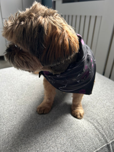 Topsy Repurposed - Mothman Dog Bandana