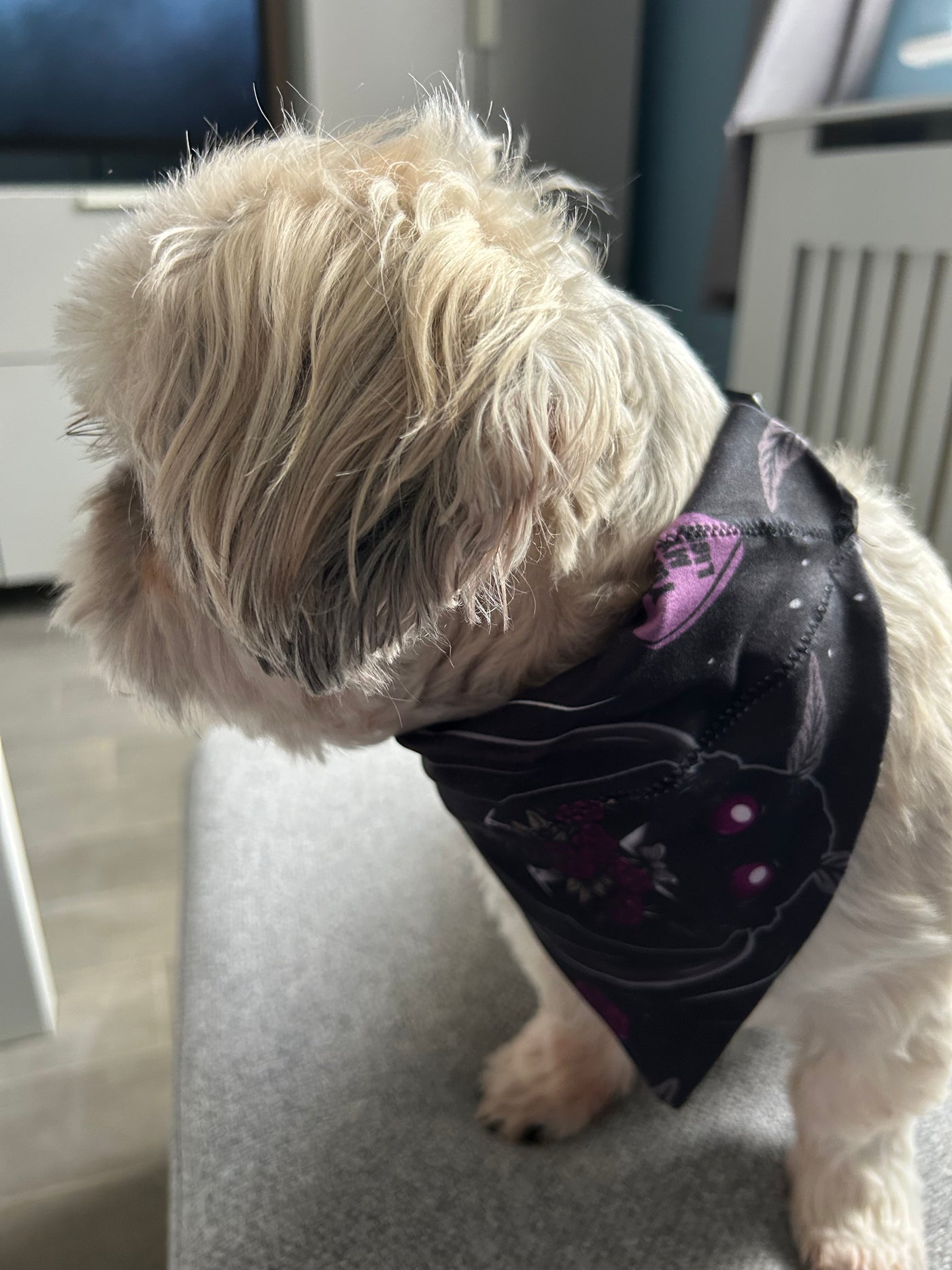 Topsy Repurposed - Mothman Dog Bandana