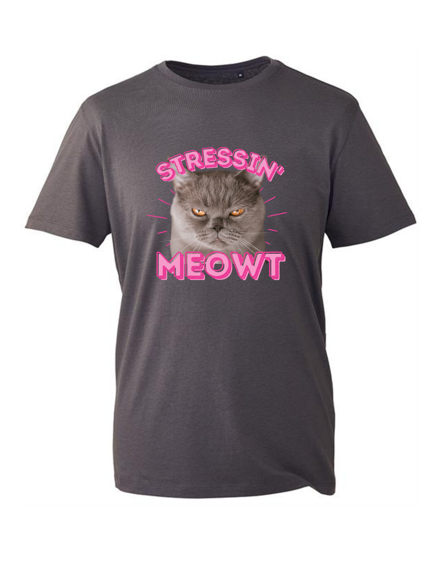 Slate "Stressin' Meowt" Unisex Organic T-Shirt